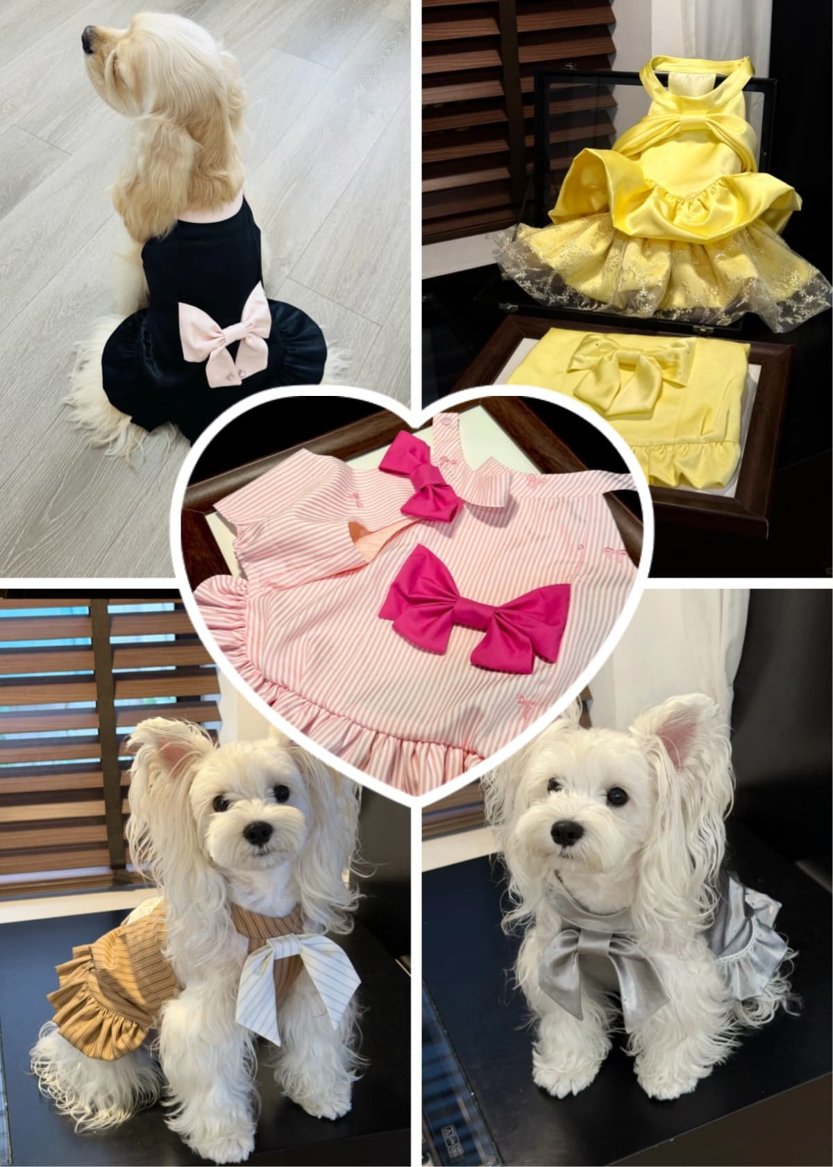 The Big Bow Debutante Dress Launch