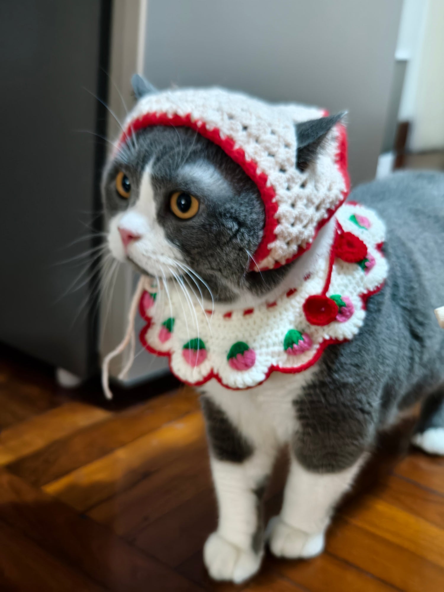 AesPaw Heritage Crochet Series — one-of-a-kind handmade crochet pet collar, luxury small dog accessory