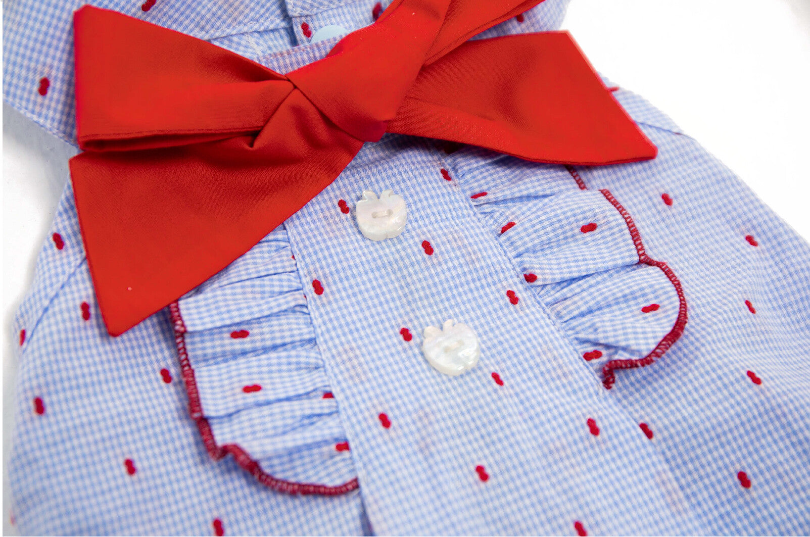 Paw-some Light Blue Gingham Red Dot Pet Dress