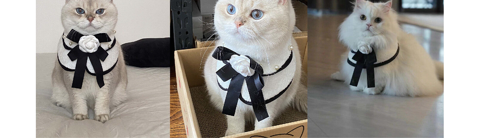 Miss CoCo - Black and White Luxury Little Princess Dress