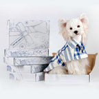 Preppy Blue & White Plaid Dog Cape