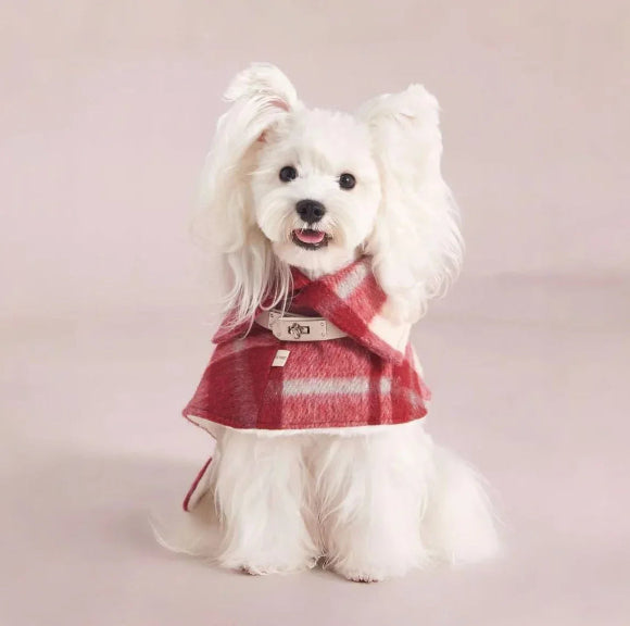 06f9569fdaf81fa194c31809c9b507fe - AesPaw