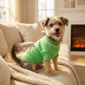 Green Star Knit Pet Sweater