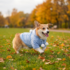 Pastel Pom-Pom Hooded Knit Pet Sweater