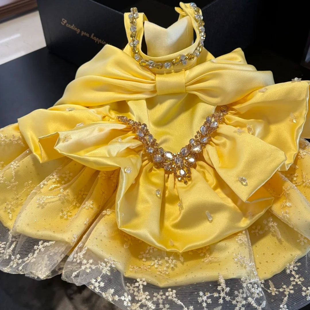 AesPaw boutique pet fashion lifestyle image