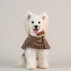 Trendy Leopard Print Pet Cape