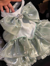 AesPaw Frozen Shimmer Ballgown dog dress, product detail