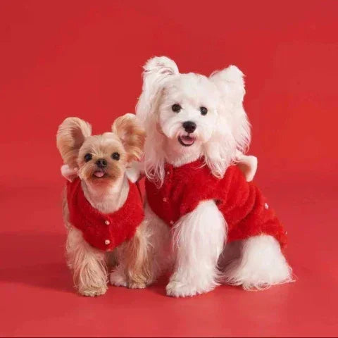 AesPaw Scarlet Bow Red Sweater dog sweater, main product photo