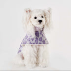 Purple Leopard Print Pet Cape