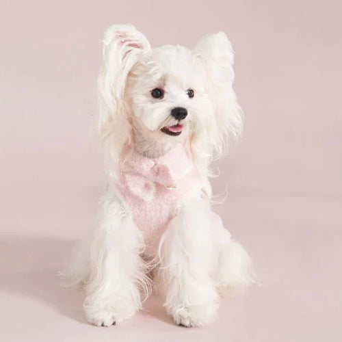 3ee2c7fd_18437ad4-7809-4286-a1be-ee7613245271 - AesPaw