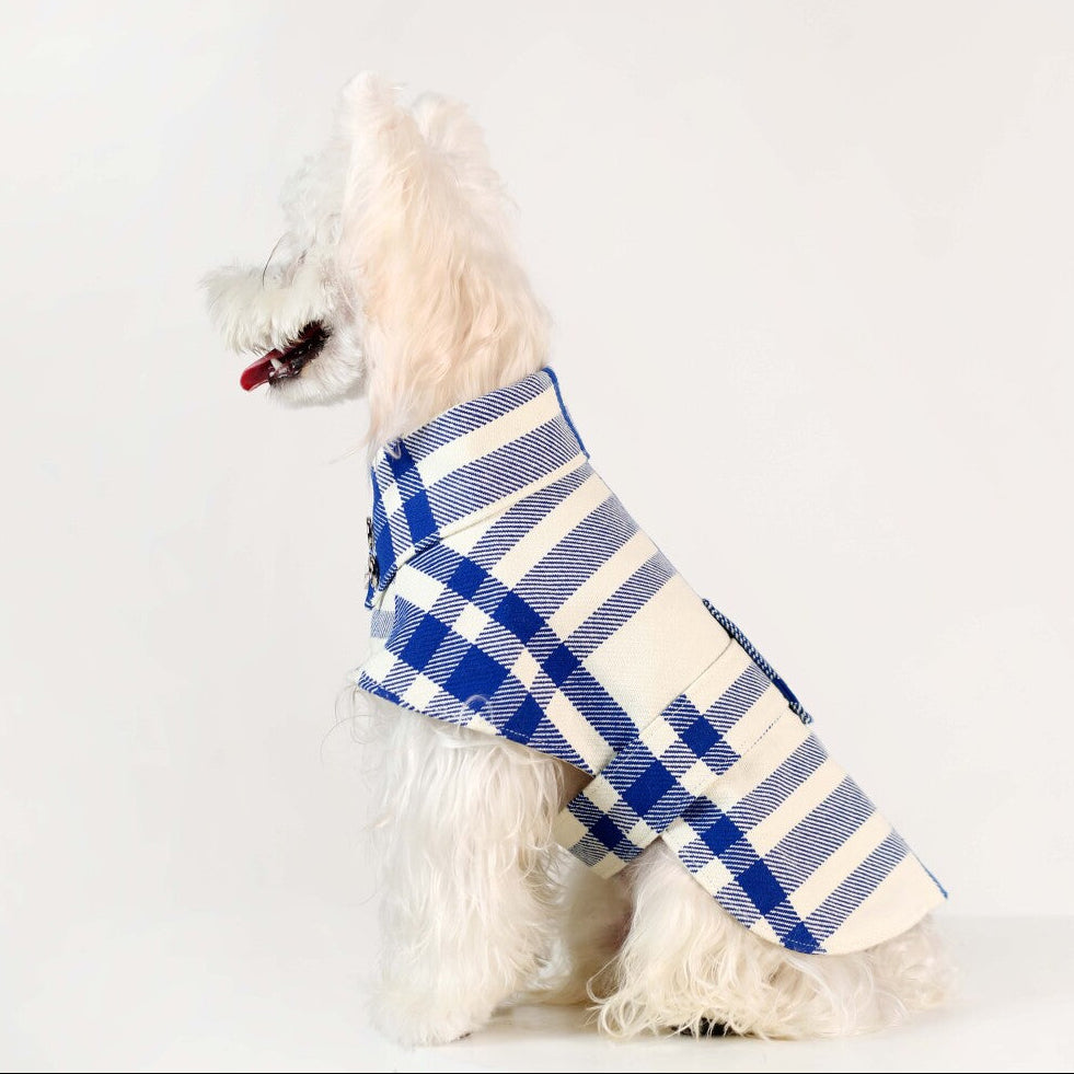 Preppy Blue & White Plaid Dog Cape