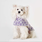 Purple Leopard Print Pet Cape