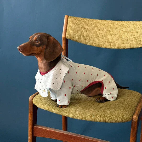 7c287880-76f0-476b-83d5-5d6c6701e81e - AesPaw