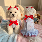 Paw-some Light Blue Gingham Red Dot Pet Dress