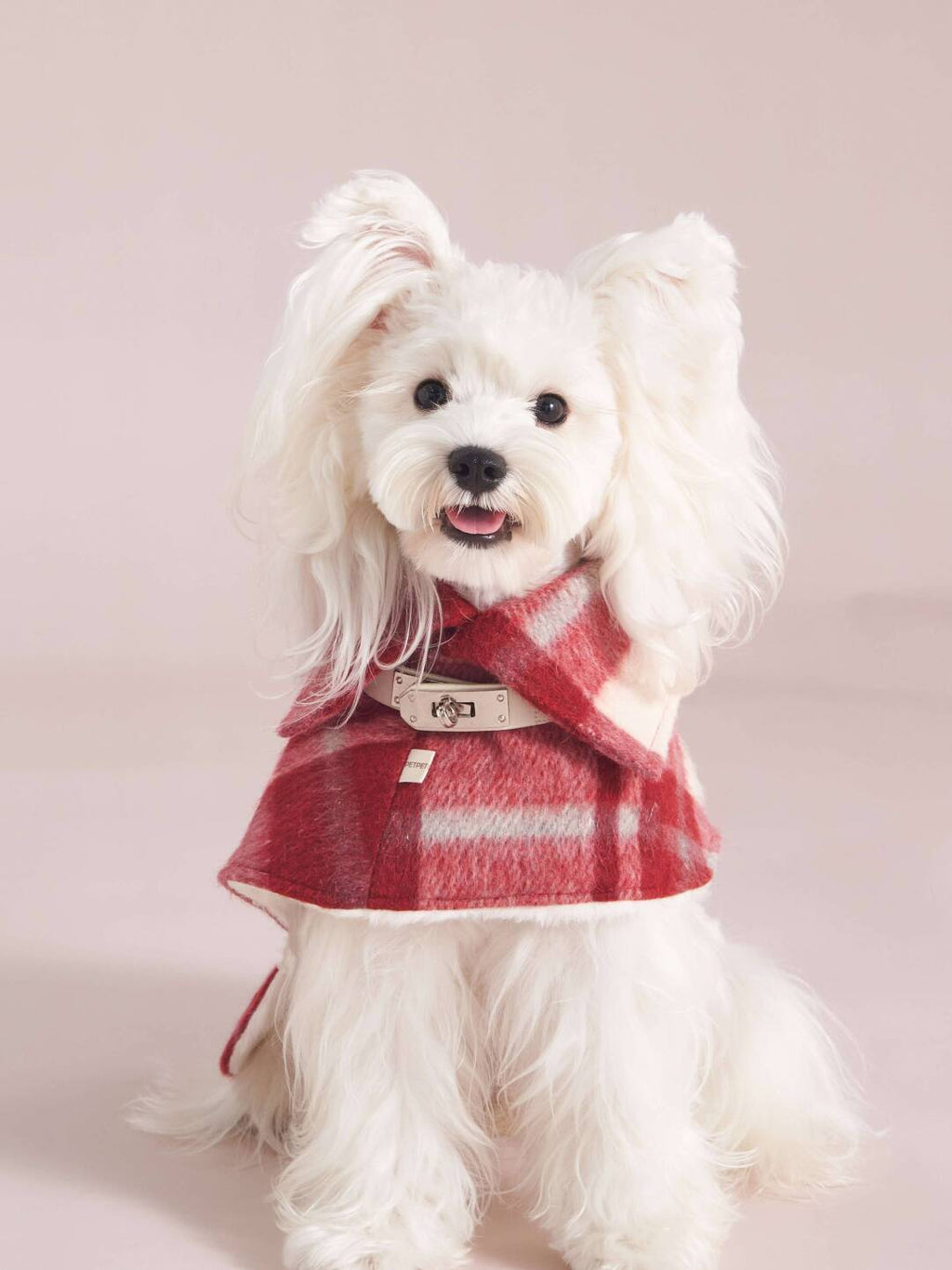 Paw-some Red & White Plaid Belted Pet Cape