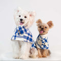 Preppy Blue & White Plaid Dog Cape
