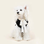 Paw-some Black Knit Pet Sweater with Large White Bow