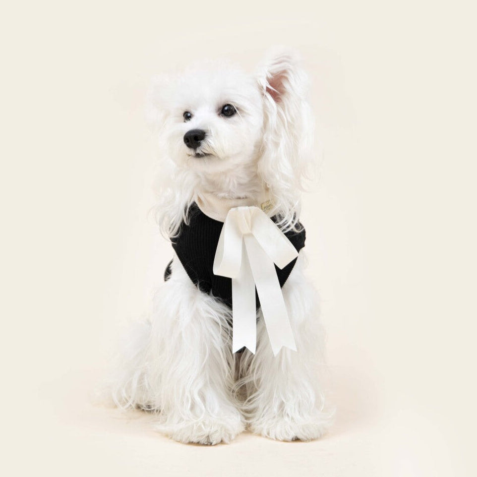 Paw-some Black Knit Pet Sweater with Large White Bow