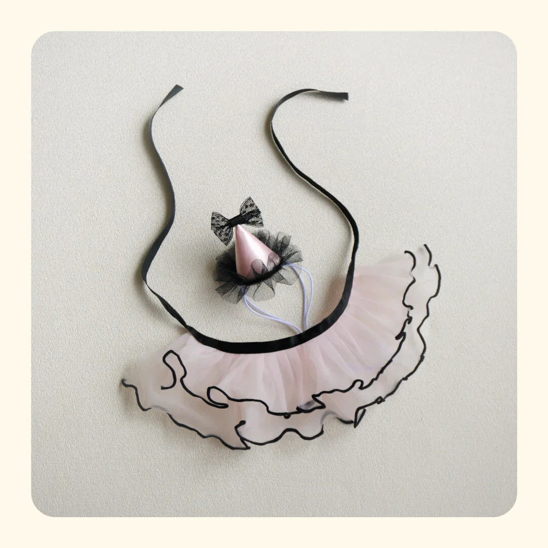 958c14ac_e21665ba-27ff-4fed-b769-ef7f68f55fd6 - AesPaw