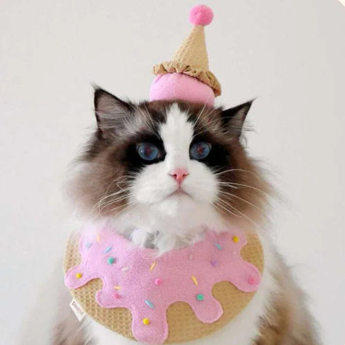 b764cad0_827b2f43-98fc-4eee-b5a4-6c3c63e6601e - AesPaw