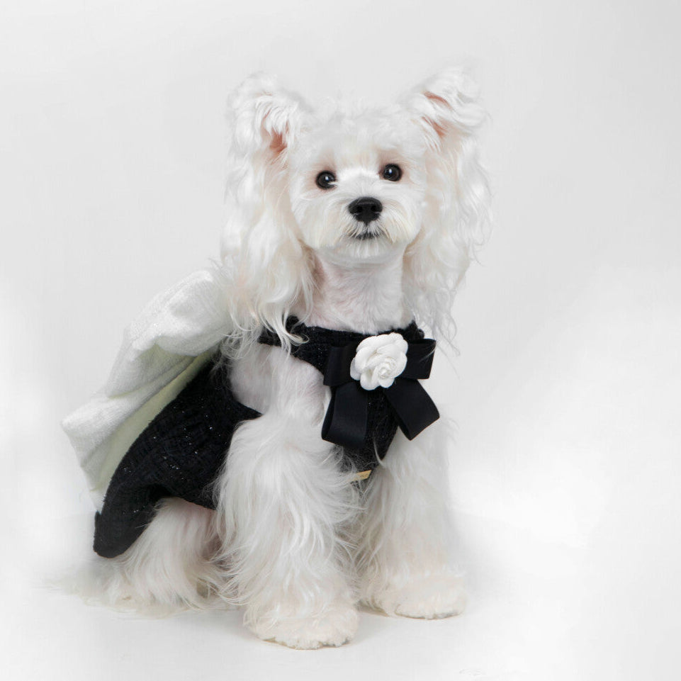 Miss CoCo - Black and White Luxury Little Princess Dress