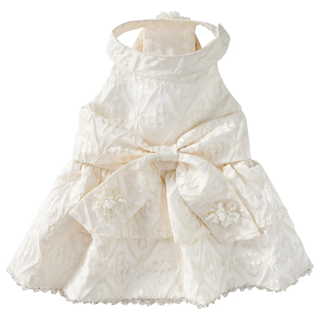 b999c776_f452d31b-5fb5-49df-8ca6-f96dd8564174 - AesPaw