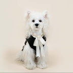 Paw-some Black Knit Pet Sweater with Large White Bow