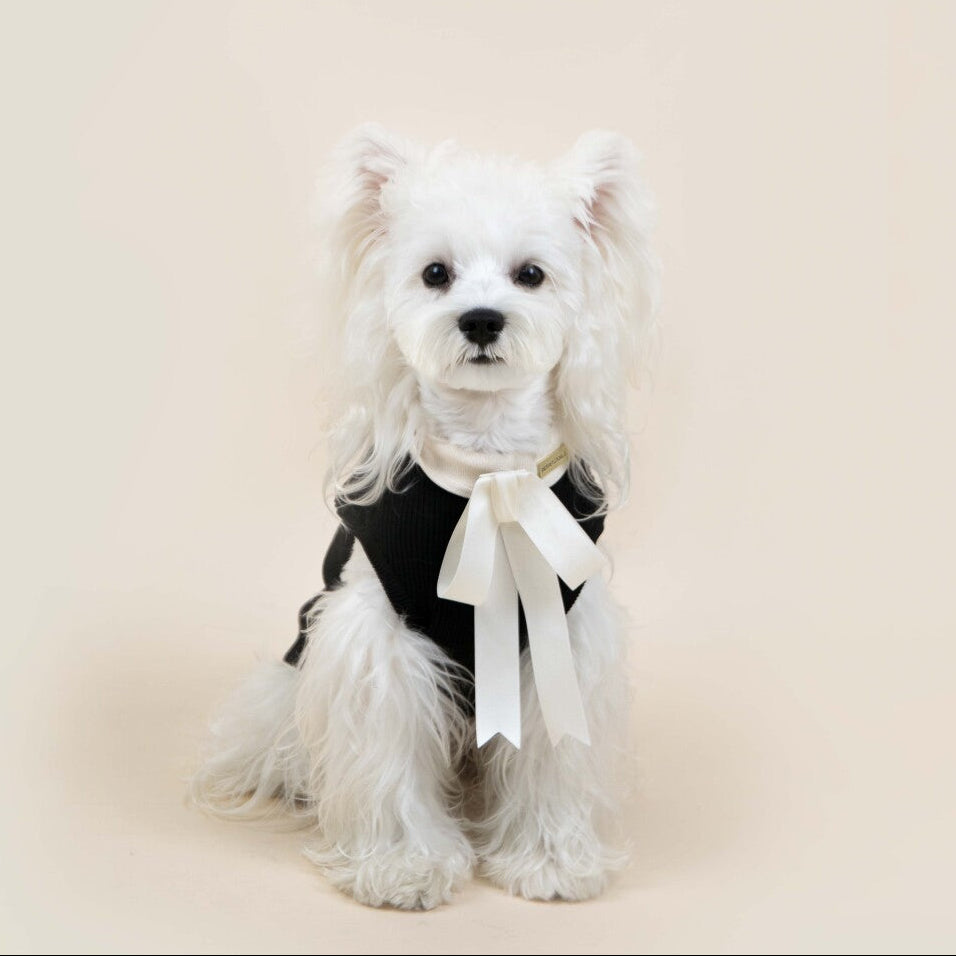 Paw-some Black Knit Pet Sweater with Large White Bow