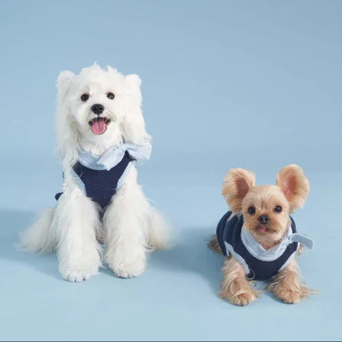 c0d9dbb6_65654896-662b-4f12-a914-4fb678db61e8 - AesPaw