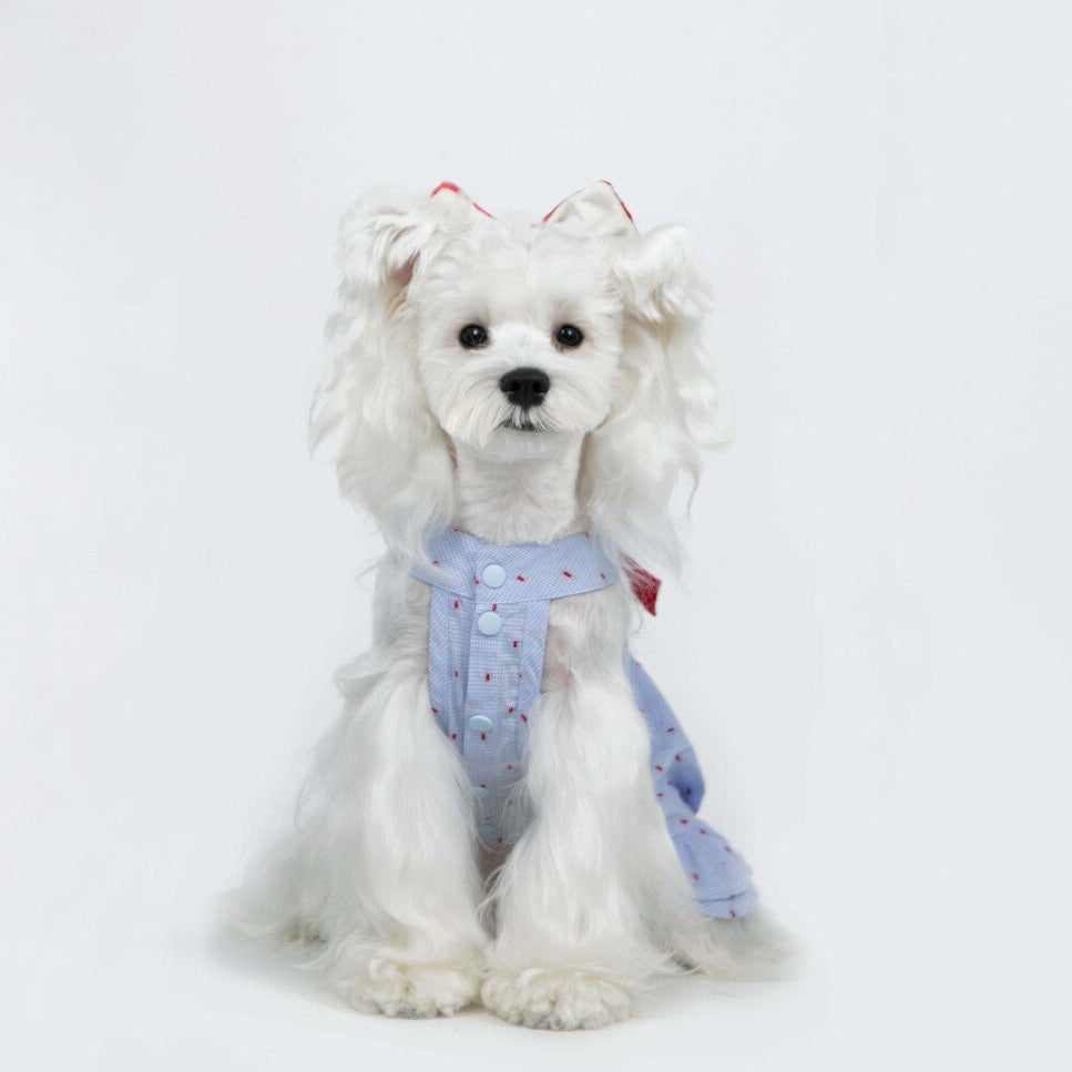 Paw-some Light Blue Gingham Red Dot Pet Dress