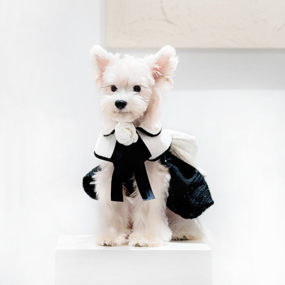 Miss CoCo - Black and White Luxury Little Princess Dress