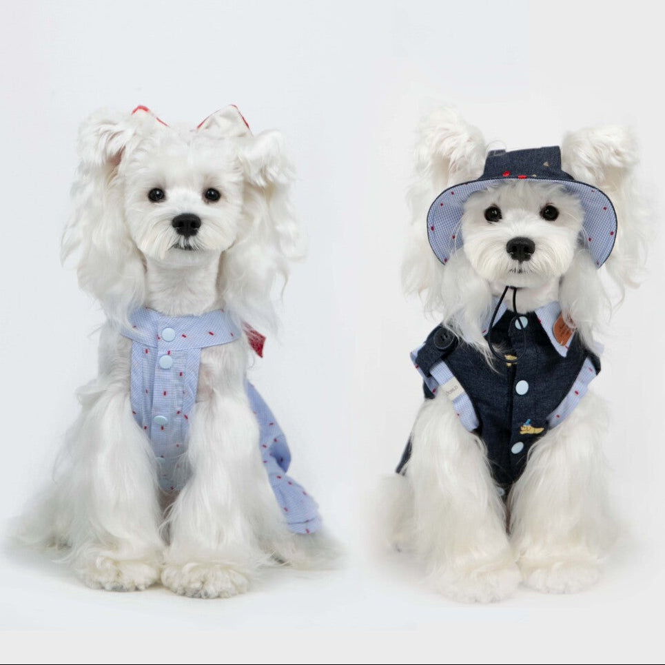 Paw-some Light Blue Gingham Red Dot Pet Dress