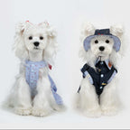 Paw-some Light Blue Gingham Red Dot Pet Dress