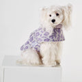 Purple Leopard Print Pet Cape