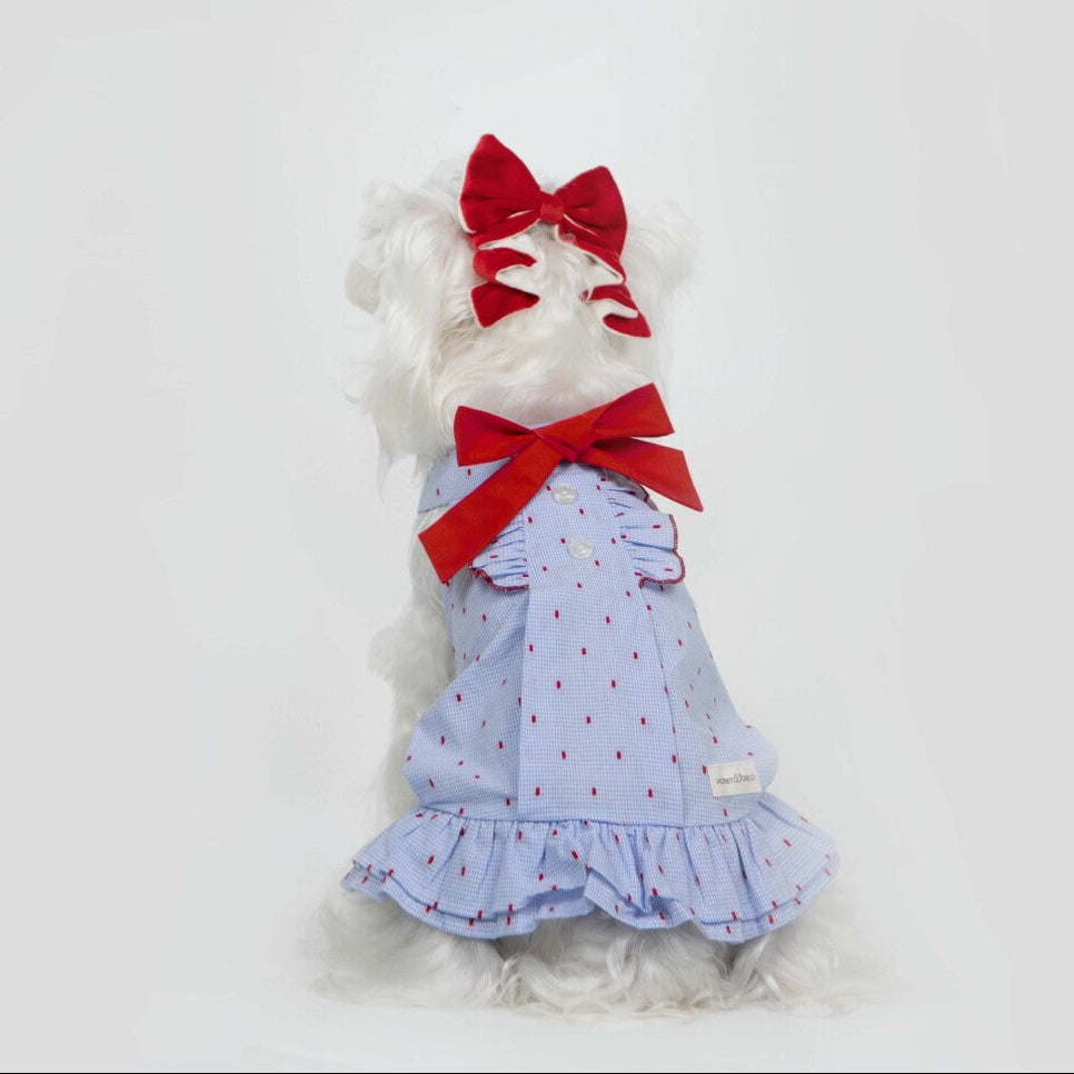 Paw-some Light Blue Gingham Red Dot Pet Dress