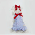 Paw-some Light Blue Gingham Red Dot Pet Dress