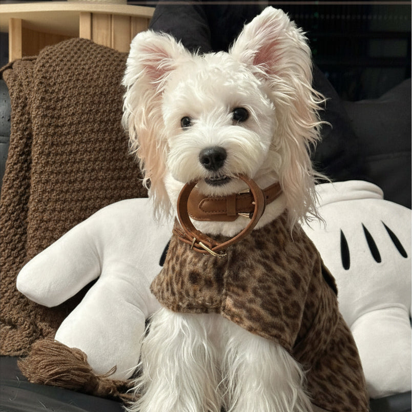 Trendy Leopard Print Pet Cape