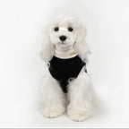 Paw-some Black Knit Pet Sweater with Large White Bow