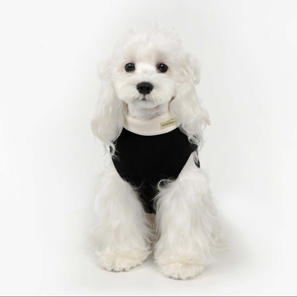 Paw-some Black Knit Pet Sweater with Large White Bow