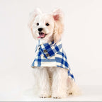 Preppy Blue & White Plaid Dog Cape